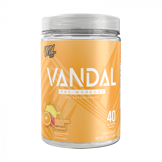 VNDL Project VANDAL 40 Serving