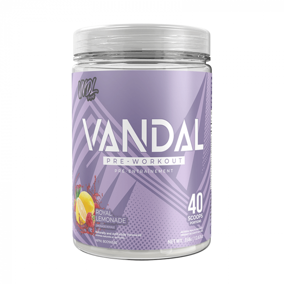 VNDL Project VANDAL 40 Serving