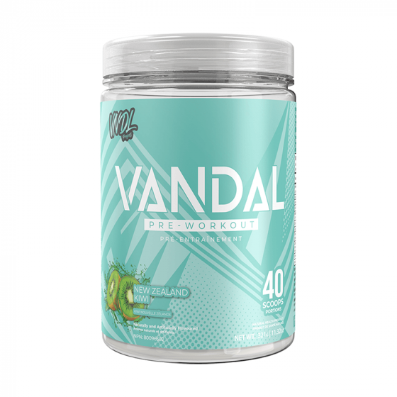 VNDL Project VANDAL 40 Serving